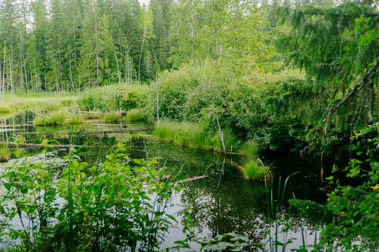 Herman Lake Wilderness Campground