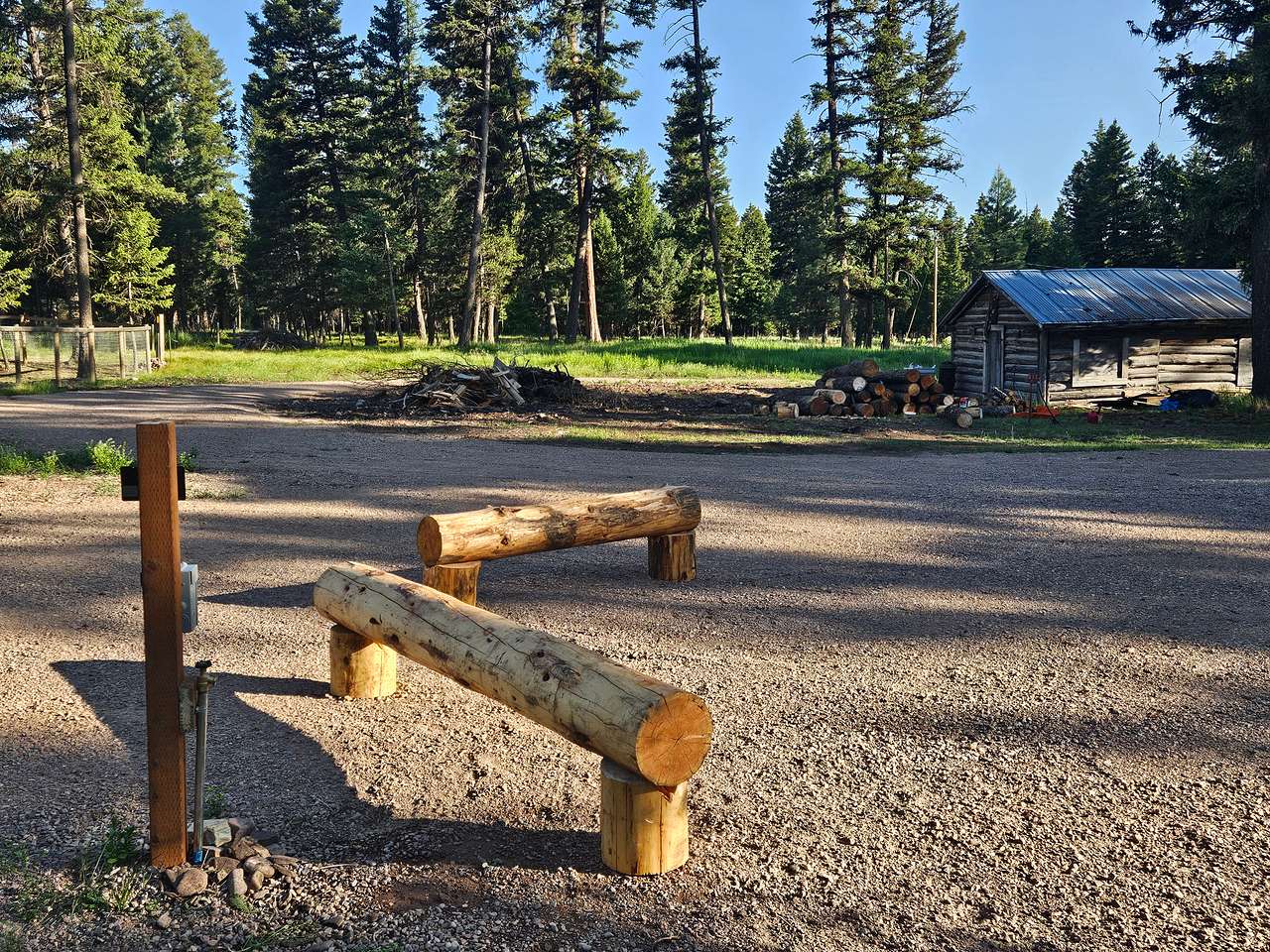 site with one of the two historic cabins and the forest in the background