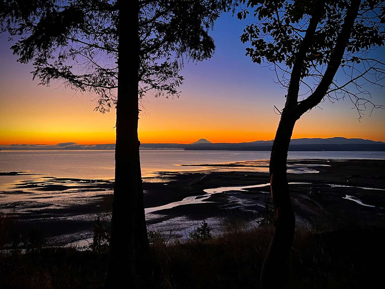 Hood Canal Acres
