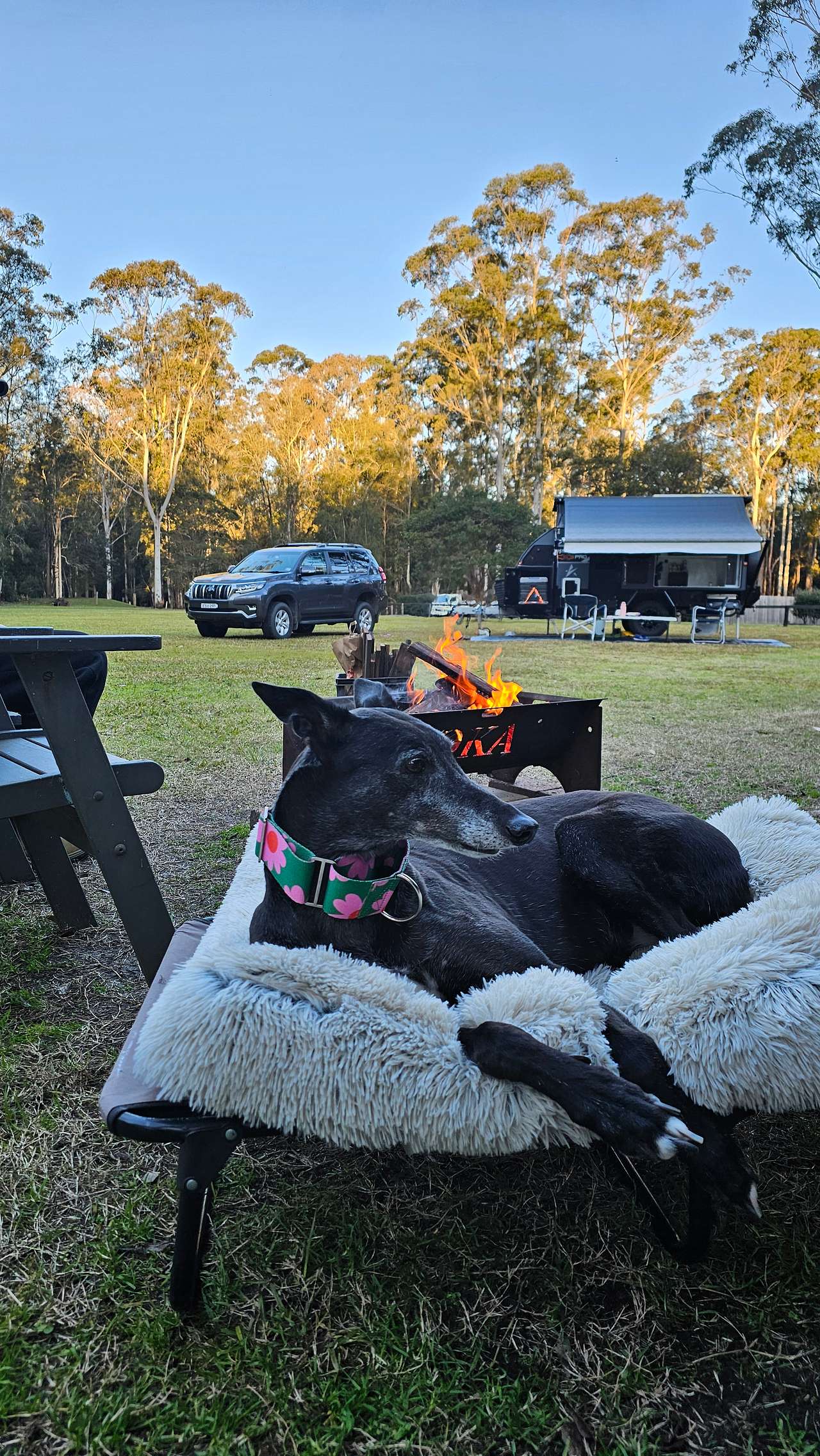 Our Kindred Acres
