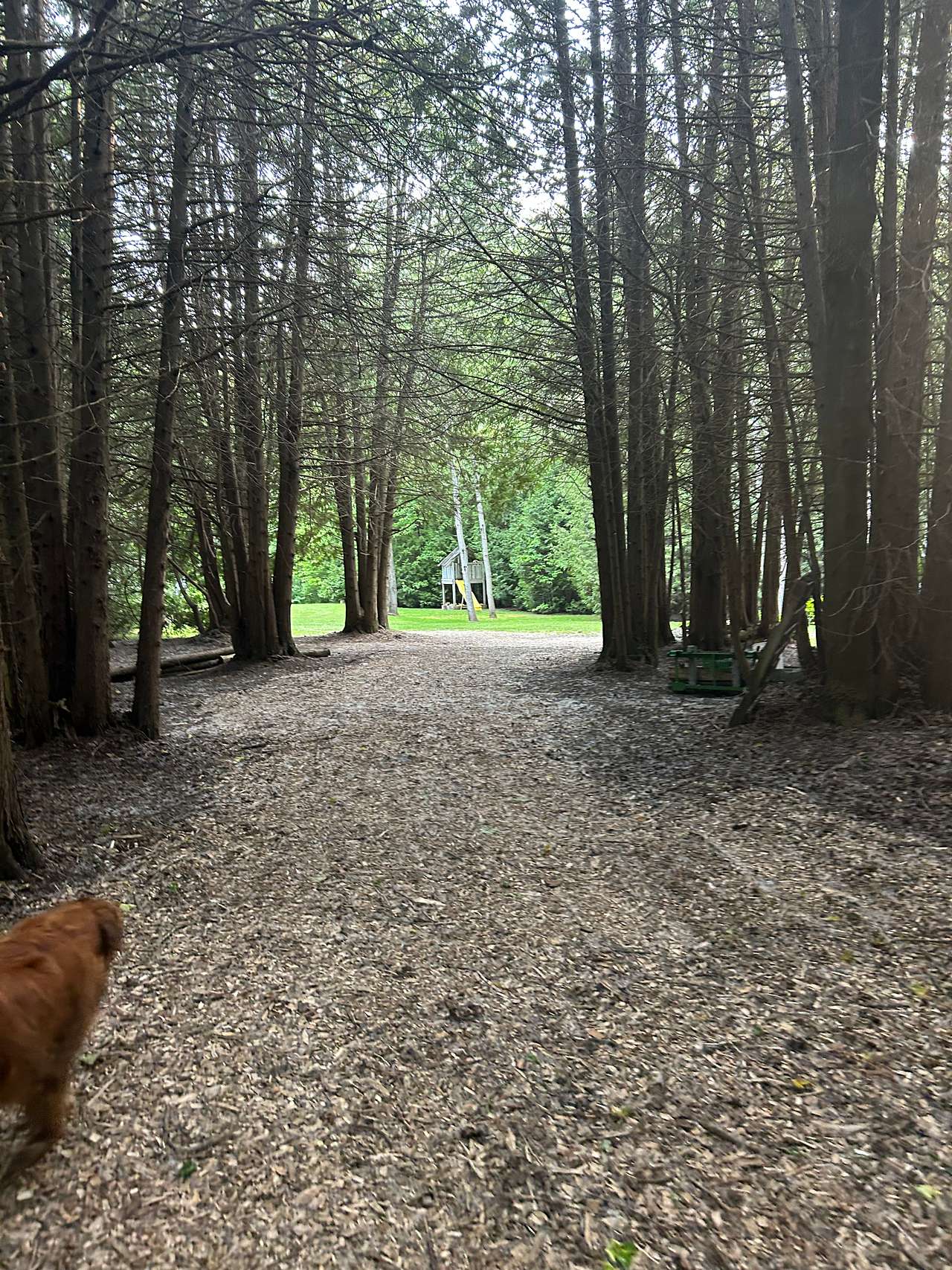 Southgate - Secluded Cedar retreat
