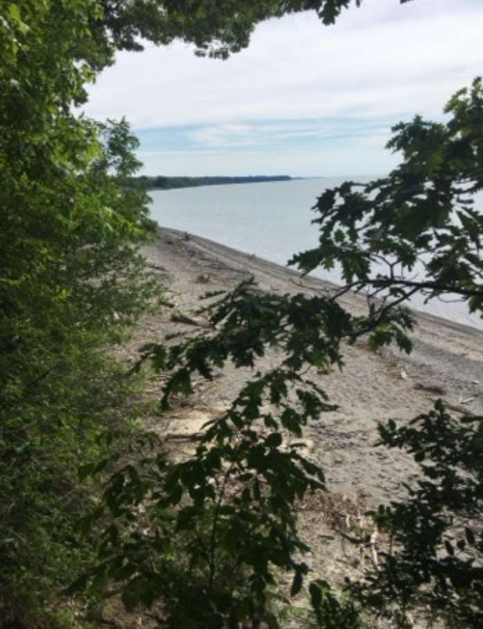 Lake Erie Cabins