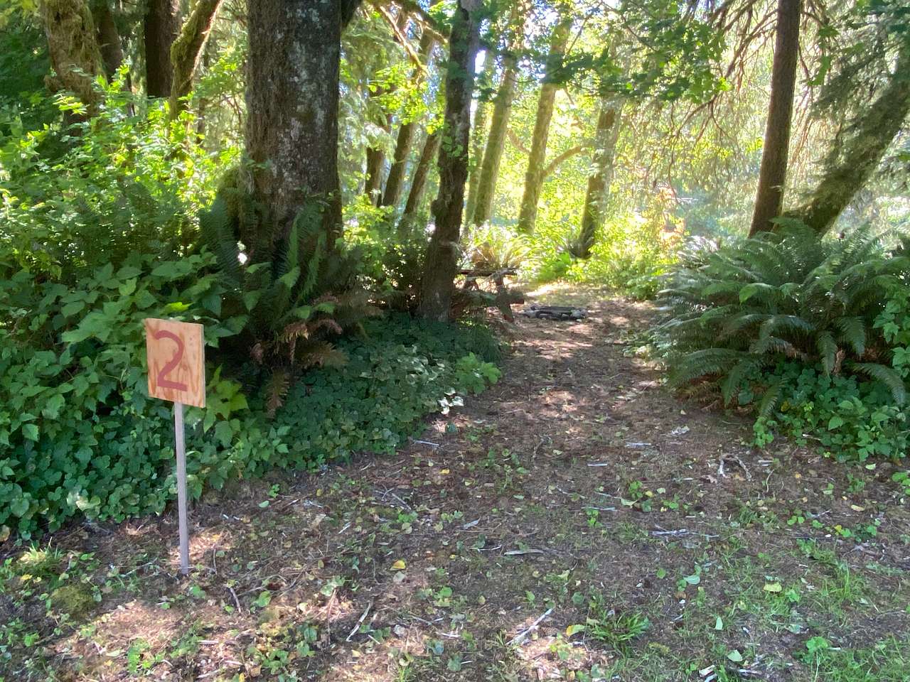 Salmon Run Campground