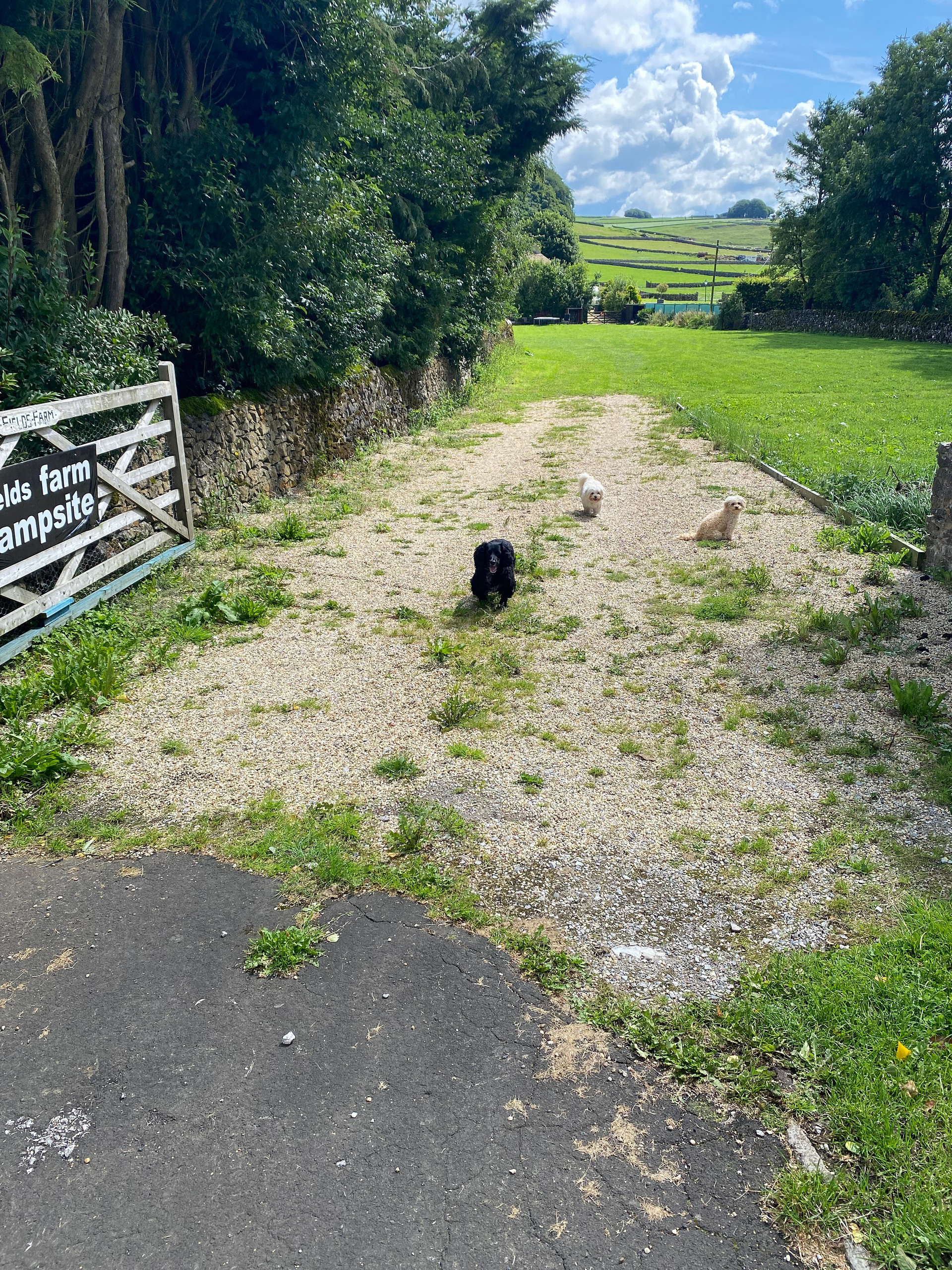 fields farm campsite church lane sk