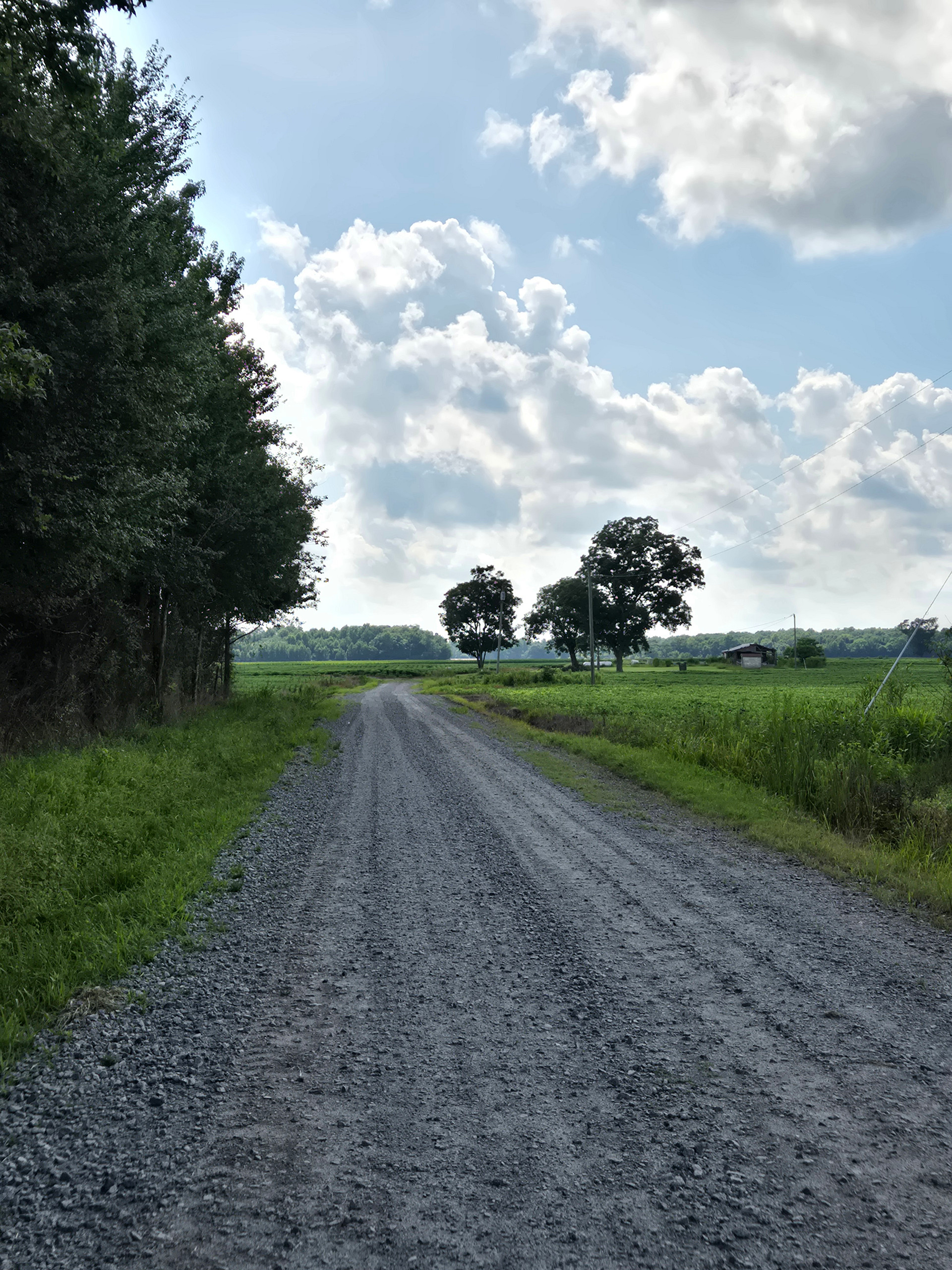 Three Pecans Farm