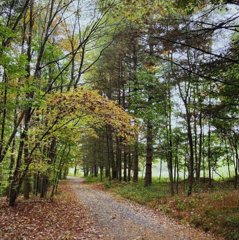Yew Mountain Center 500-Acre Nature Sanctuary