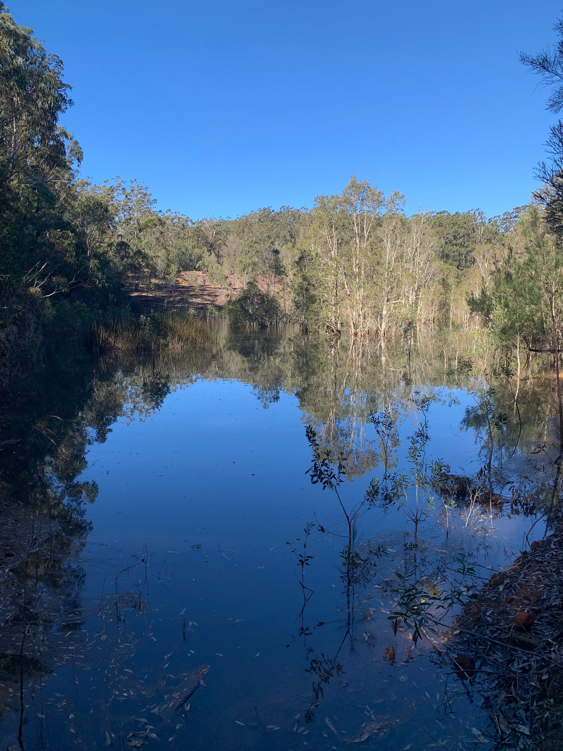 Nature’s Retreat