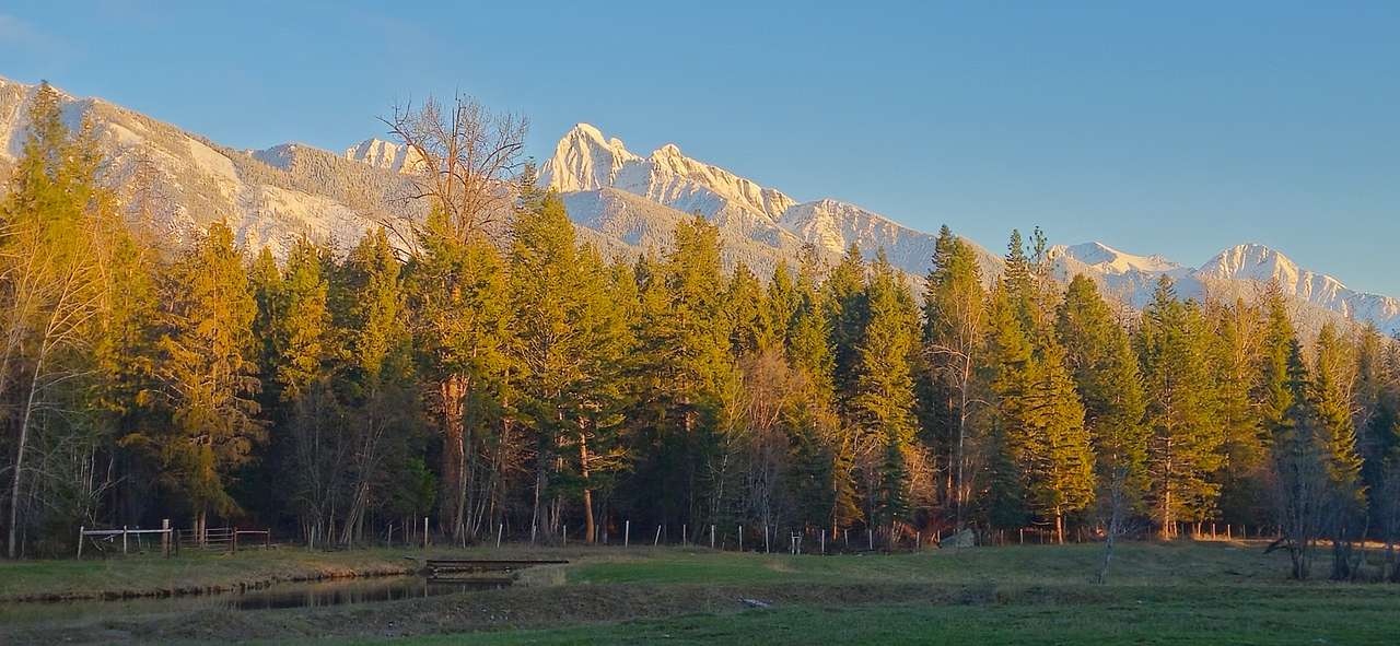 Private 10 acres in the country
