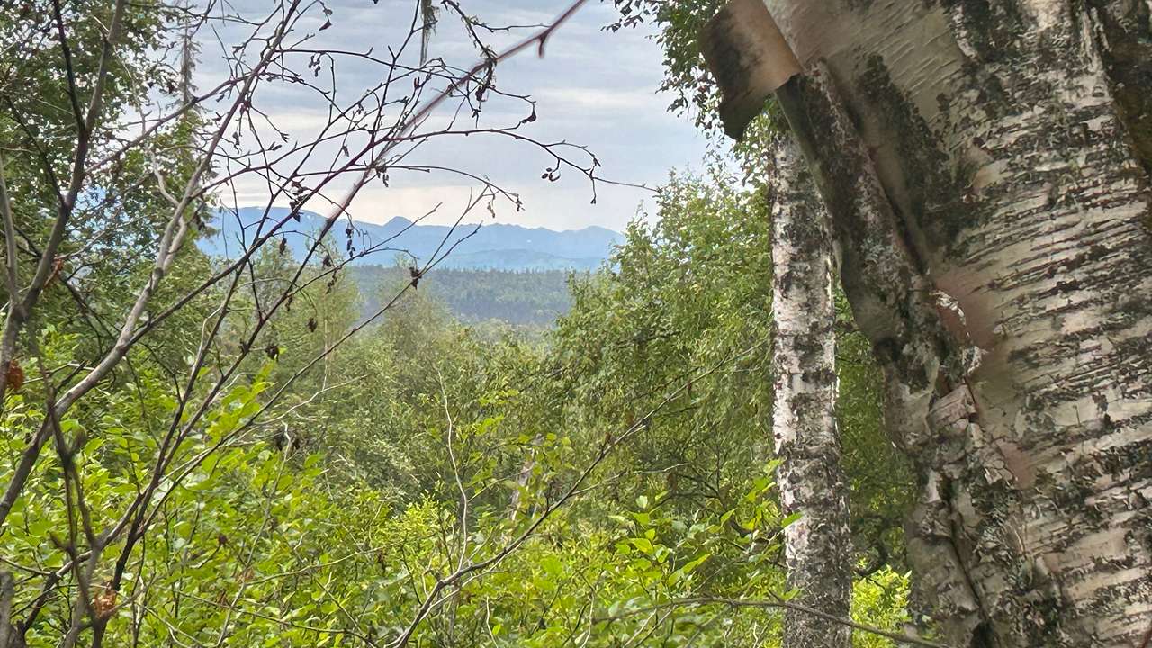 Talkeetna Range