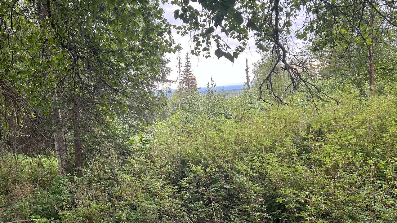 Susitna (Sleeping Lady) Mountain 
