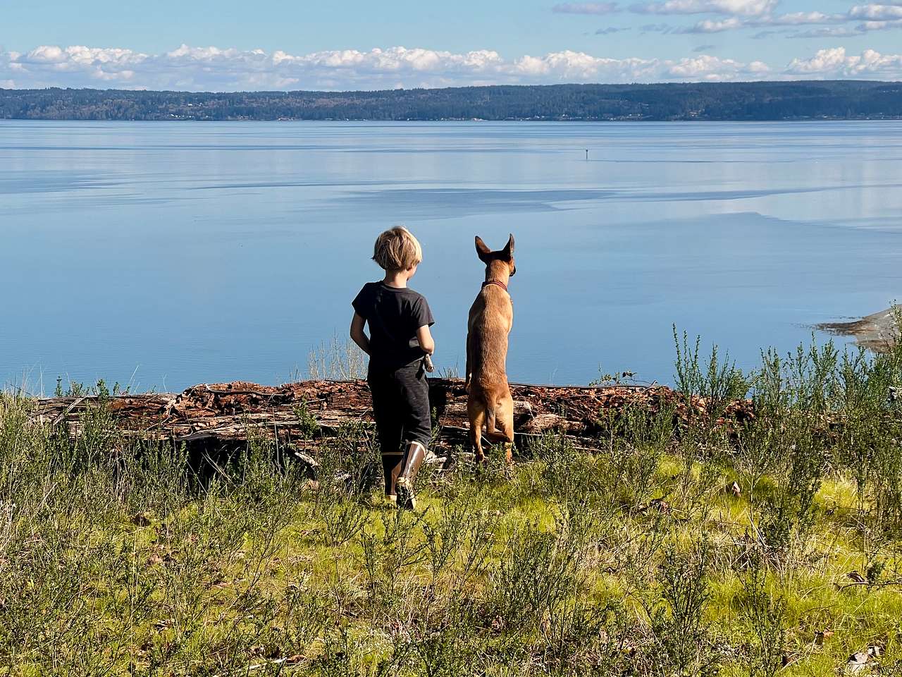 Hood Canal Acres
