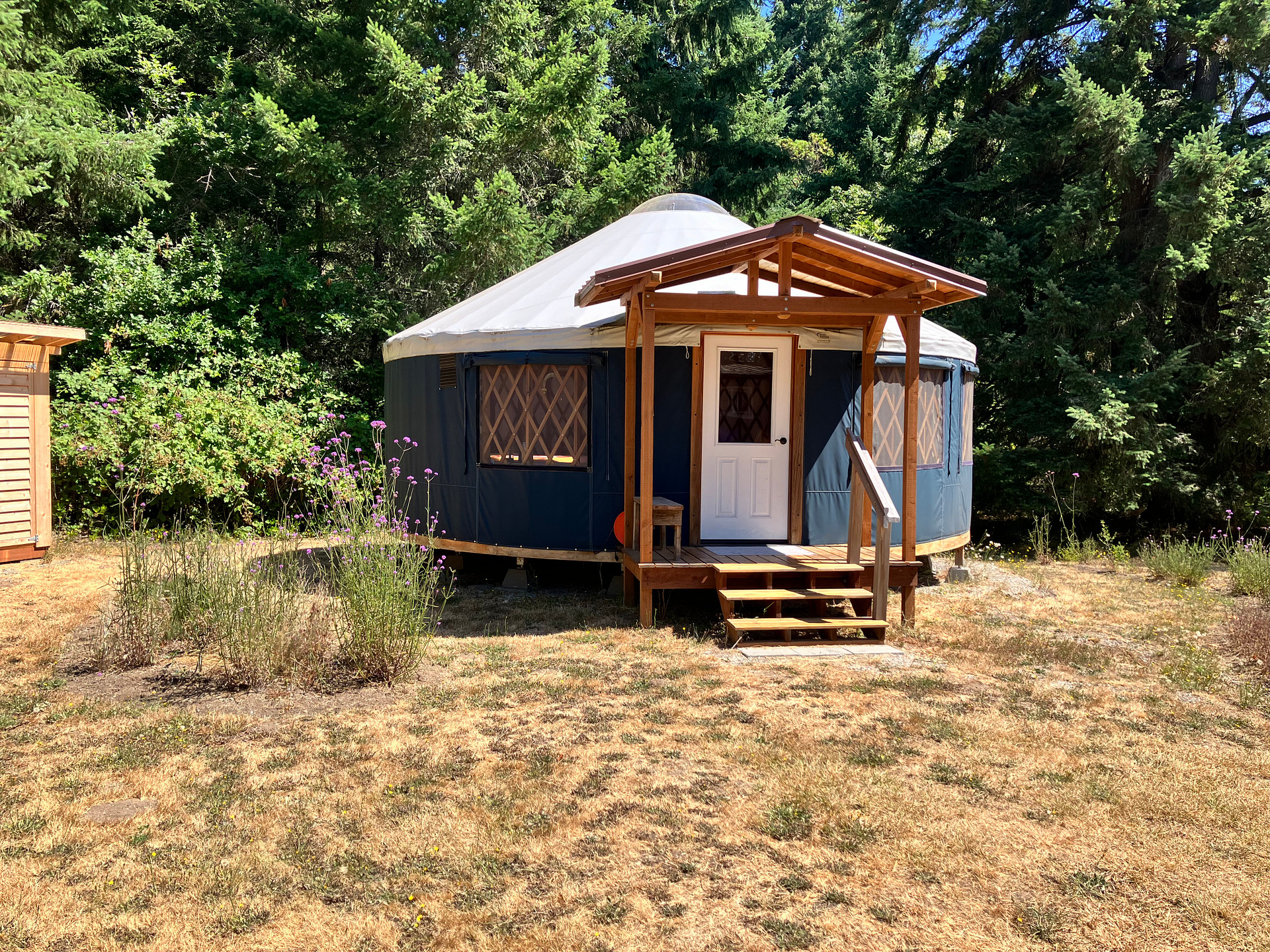 Bywater Yurt