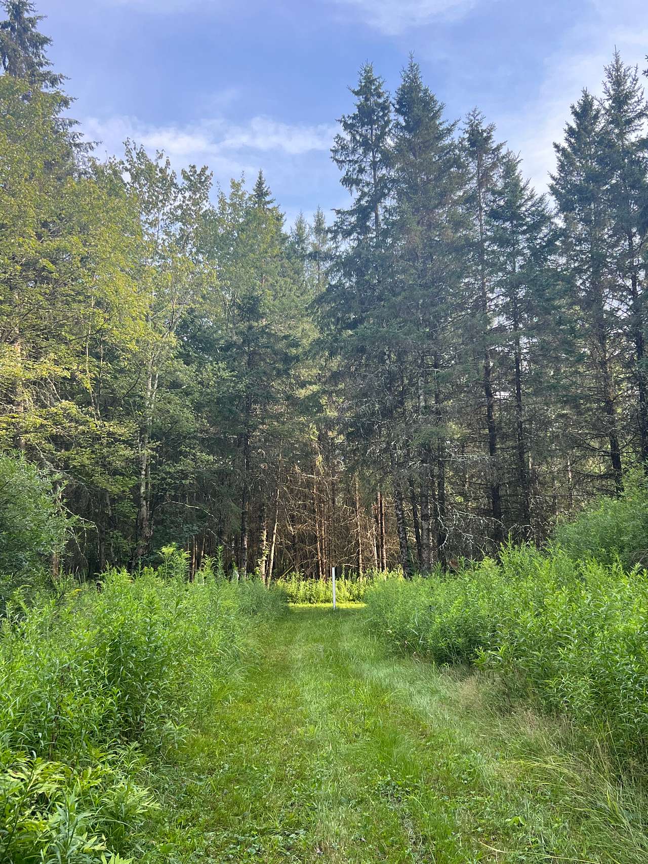 Follow for relaxation and exploration.