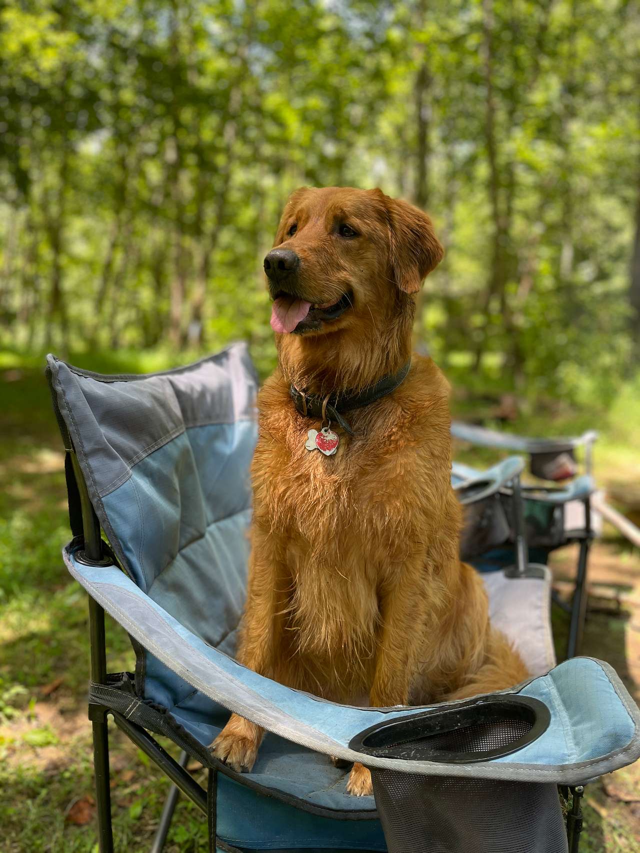 River (our goldie) had the best time