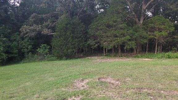 Hawk Holler Farm