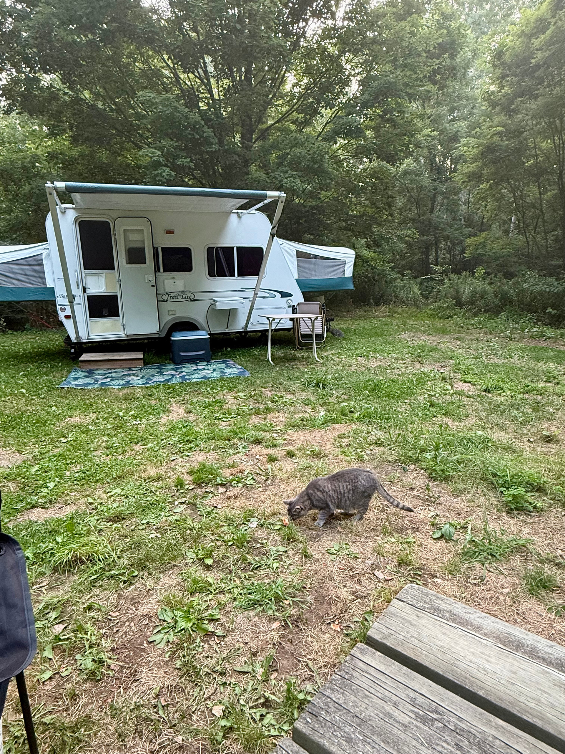 Miss Luna hanging out with us 