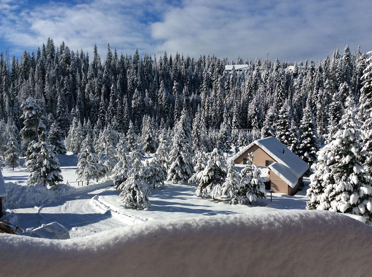 Winter wonder land