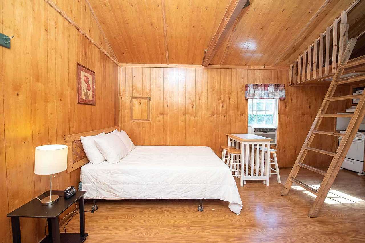 Cindy Bear™ Cabin (1)
