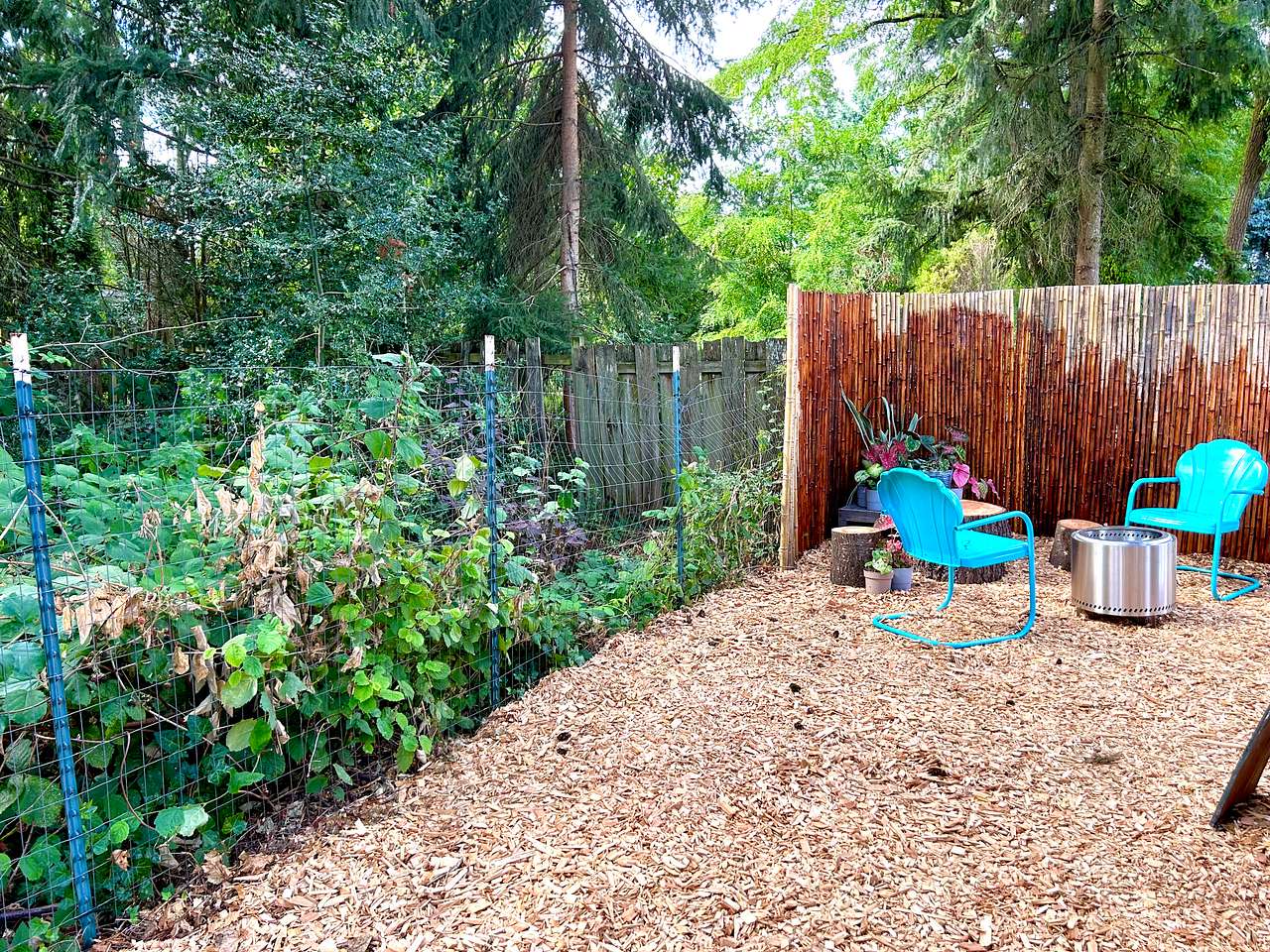 Peaceful Urban Oasis Glamping