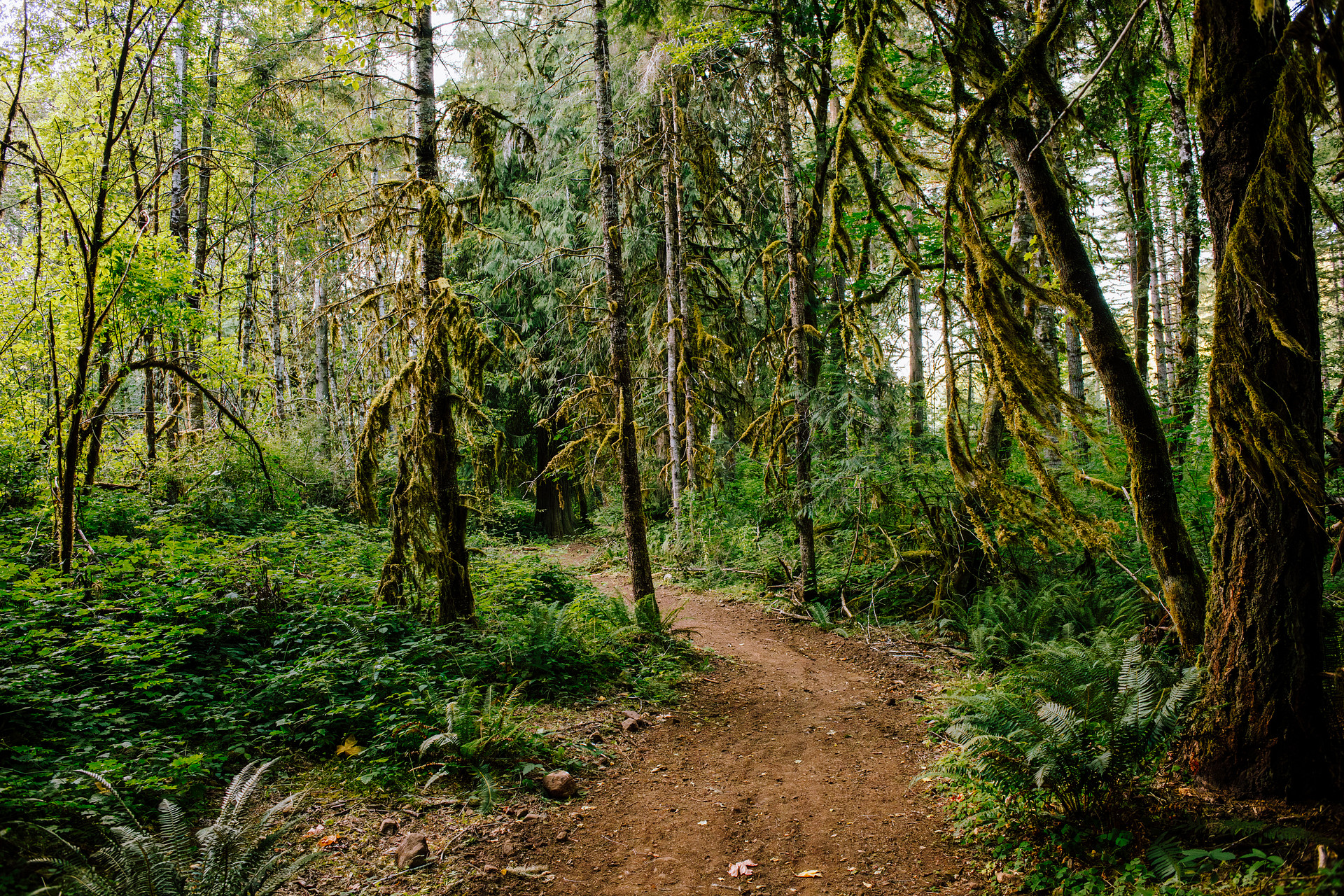 Trails just steps away from the RV sites