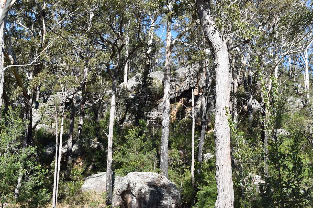 Camp Yerriyong