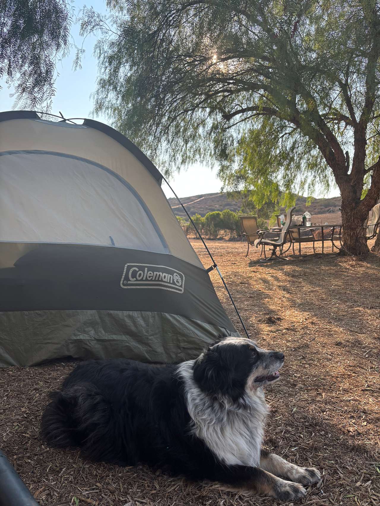 Wild Seeds Ranch