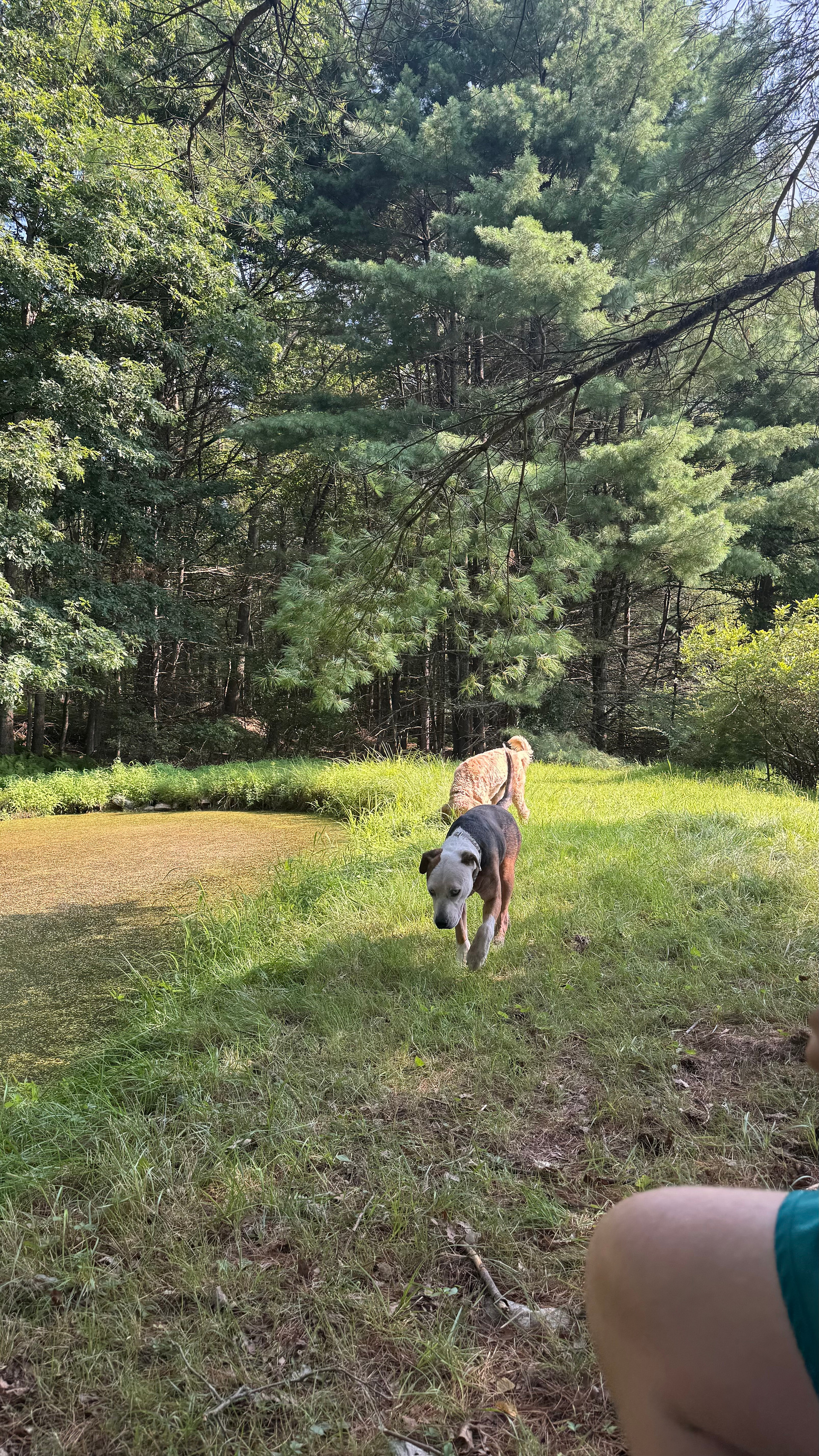 Hippie Havens: A Groovy Retreat & Spa