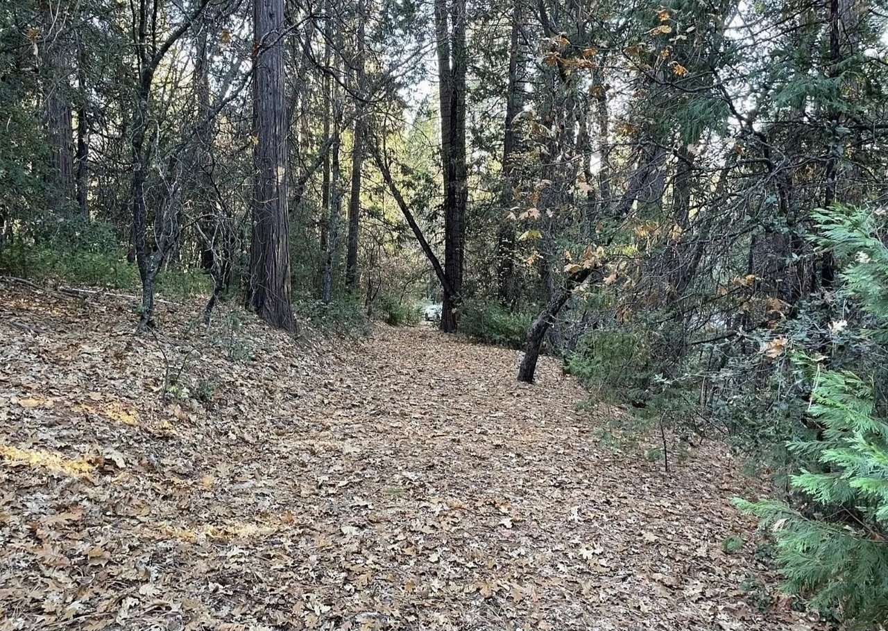 Close to Yosemite-Gold Rush Camp Si