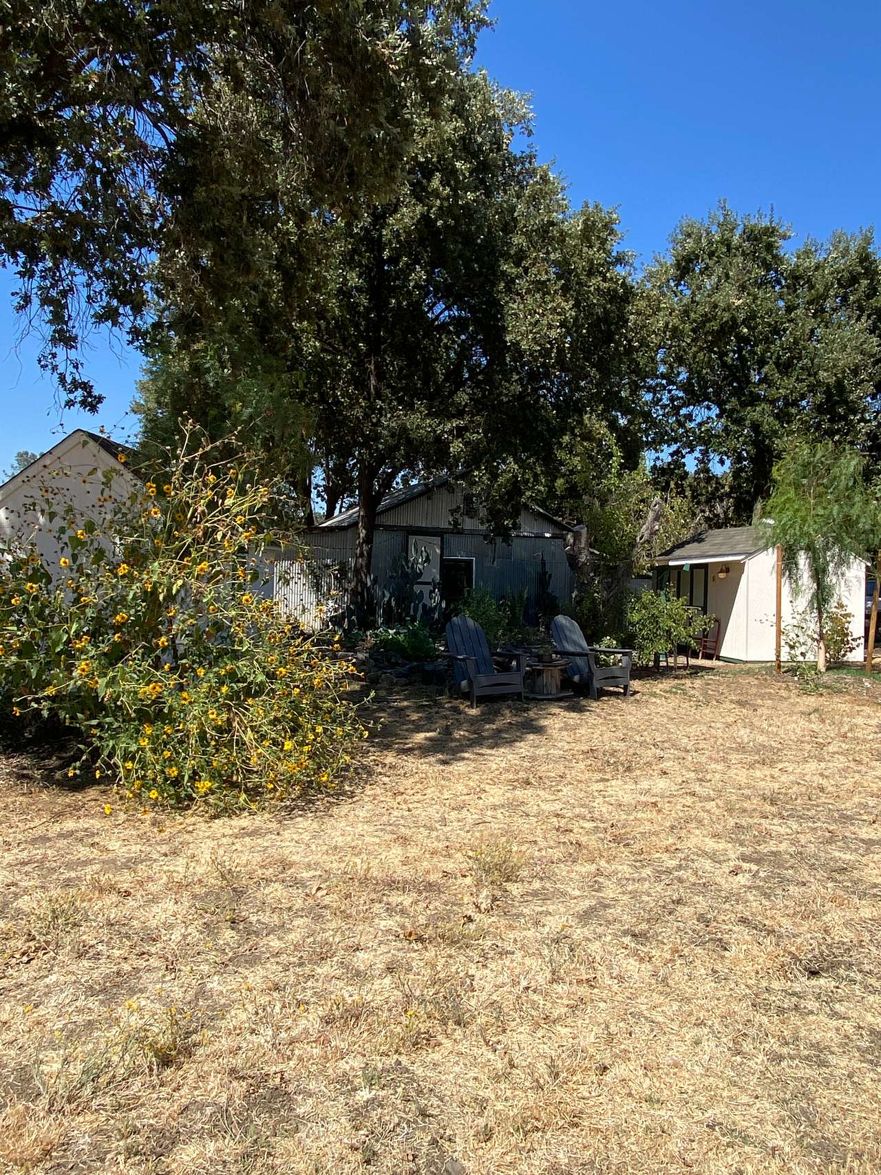 El Nopal Studio And Cabins