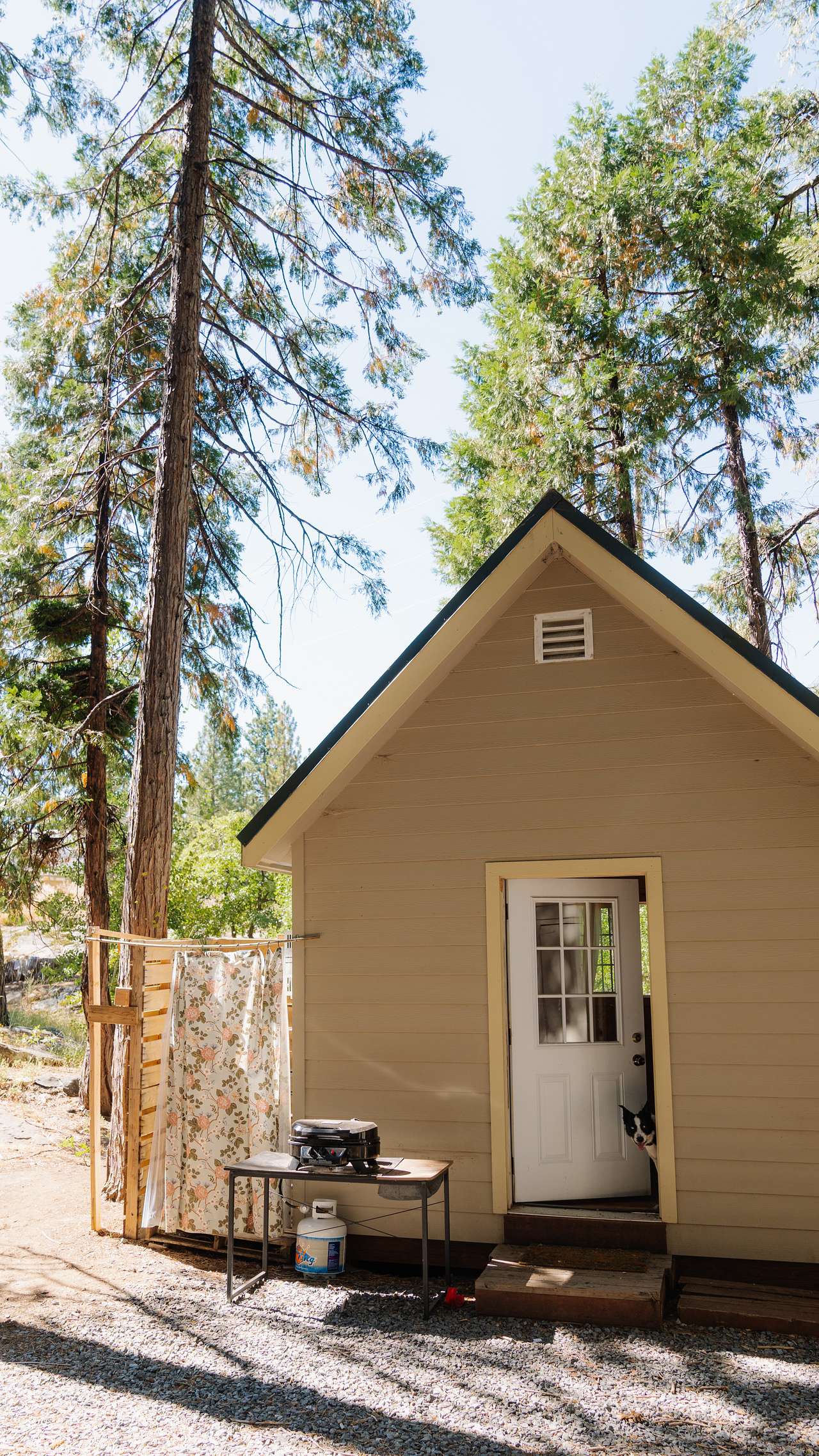 Front view of hut 
