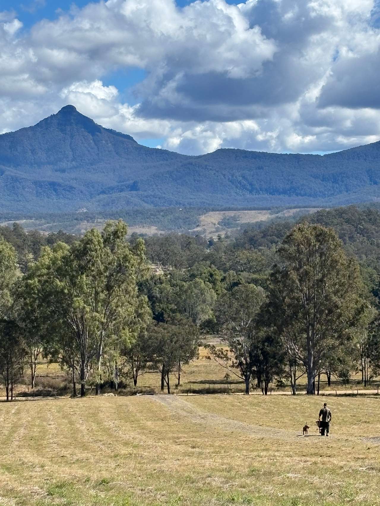 Range View Moogerah