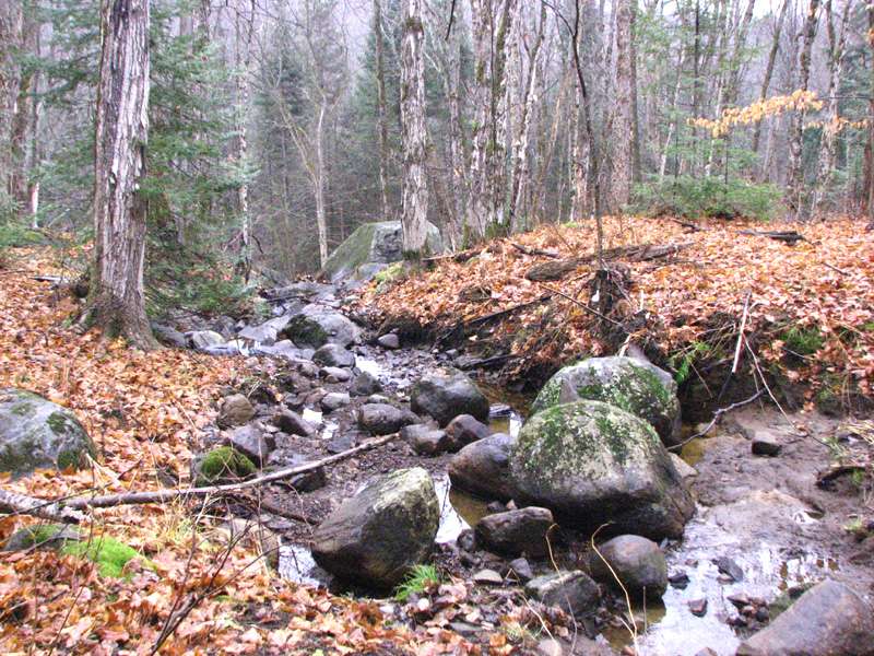One of many creeks and water runs along the length of the property.  Fascinating exploration and varied kinds of rock throughout. 
