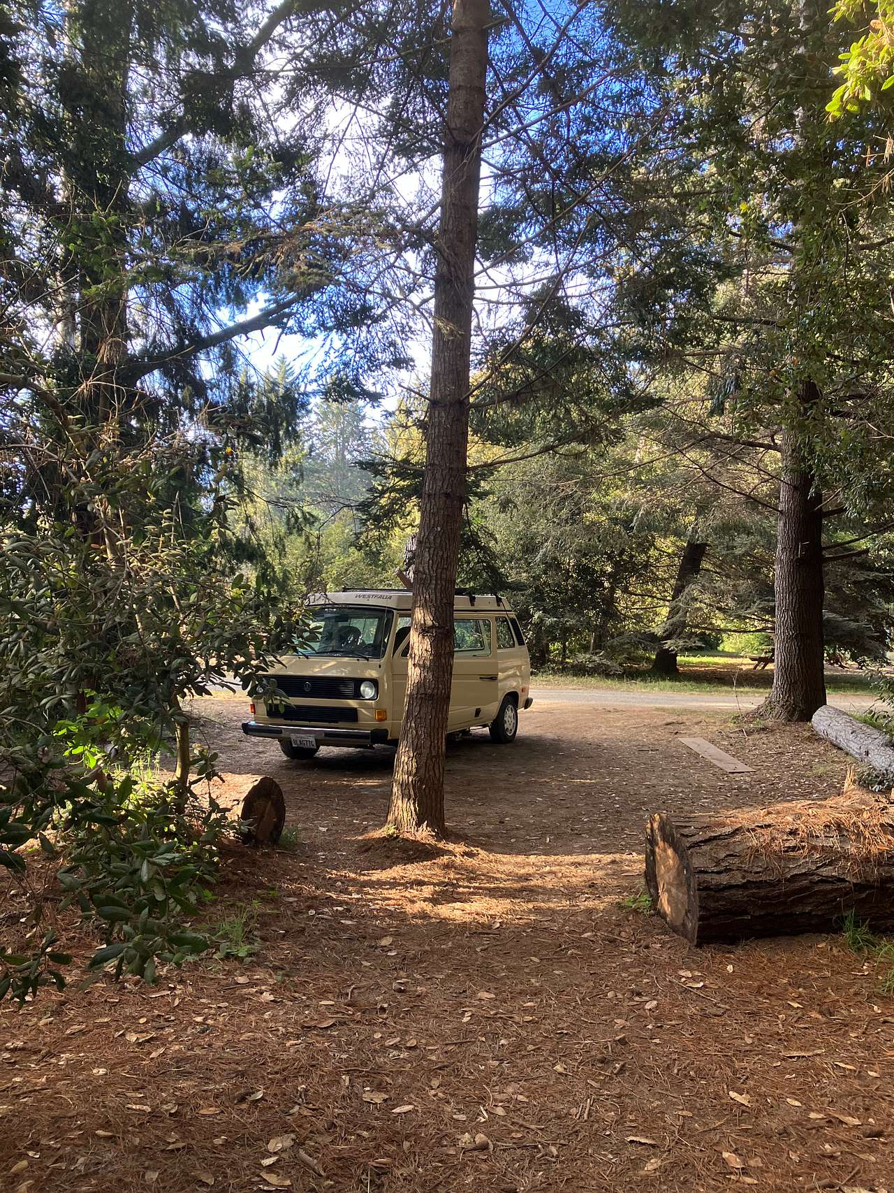 Site 8