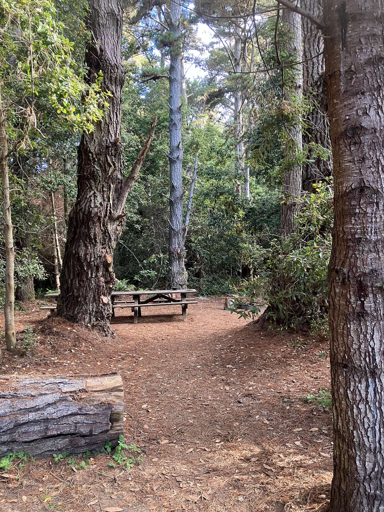 Devil's Gulch Group Campground