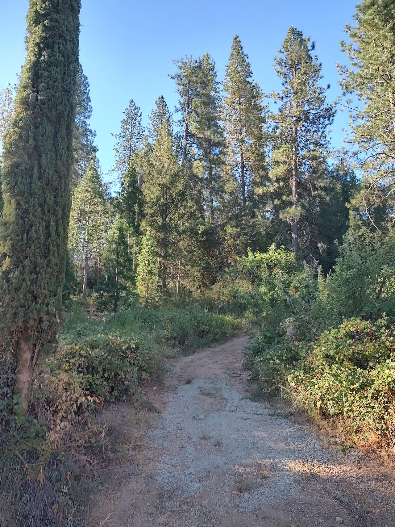Purdon Crossing Yuba Campground