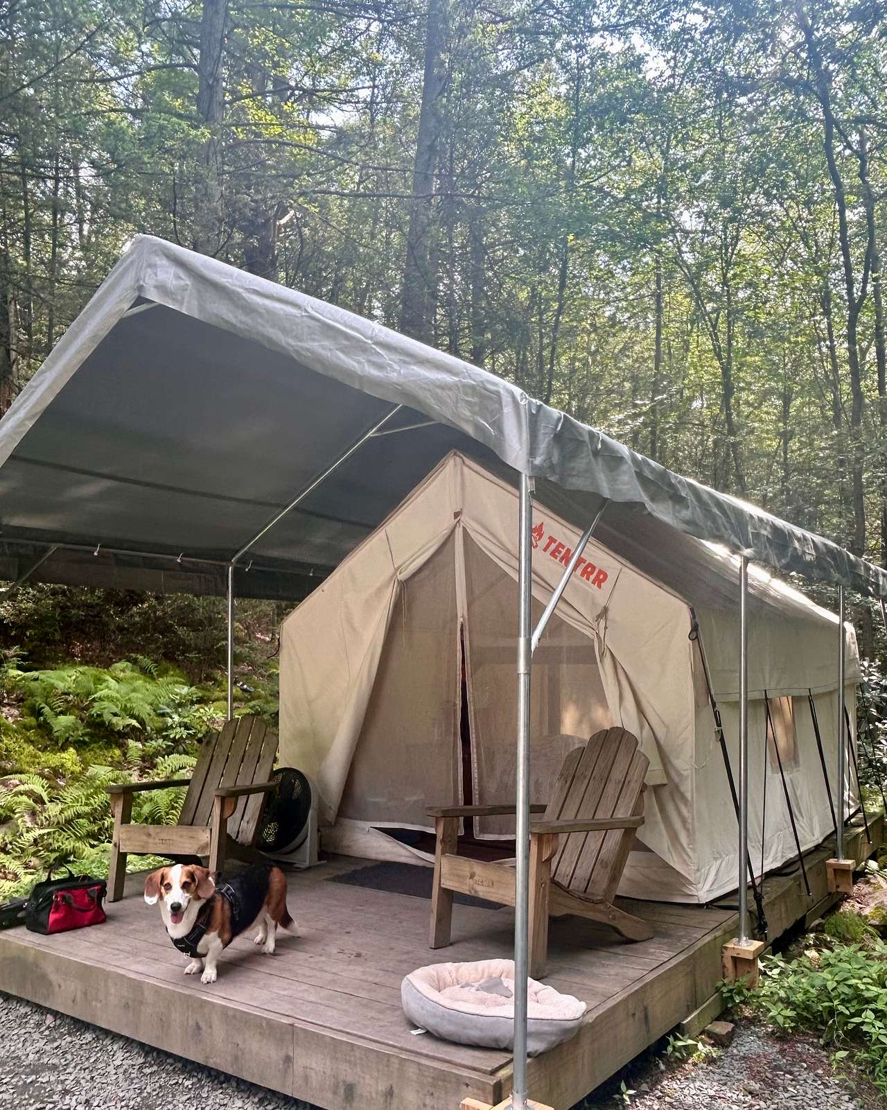 Camp Dietrich on Bear Creek