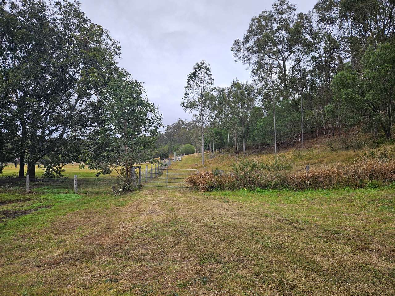Hill Top - South Ripley