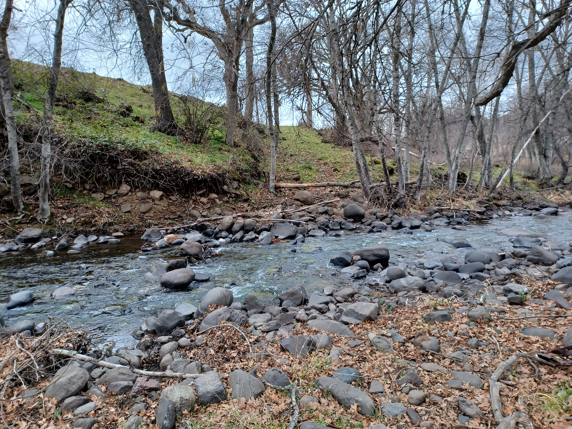 Emigrant Creek