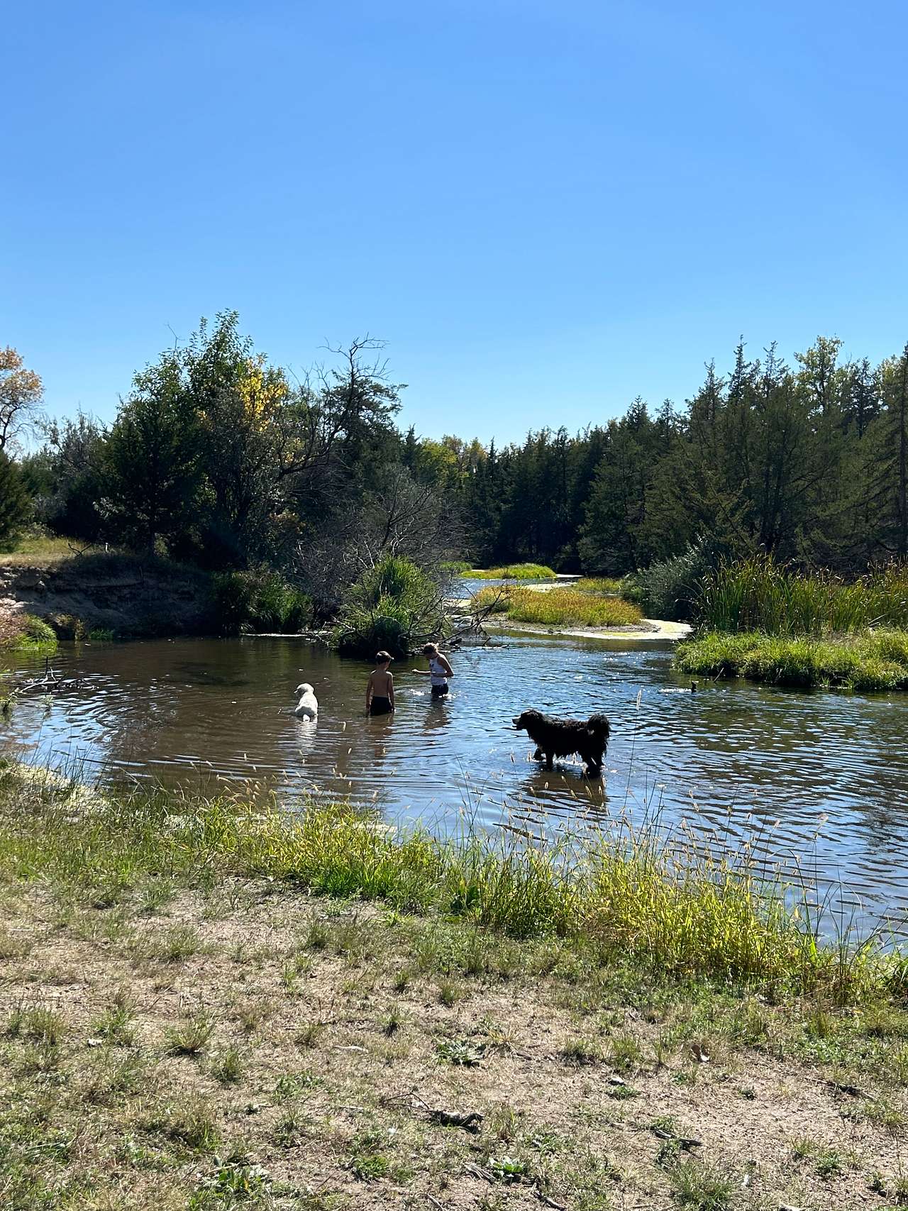 NC River Ranch – I-80 RV & River Camping
