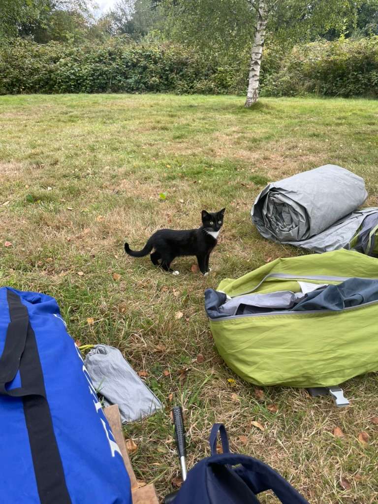 unexpected guest