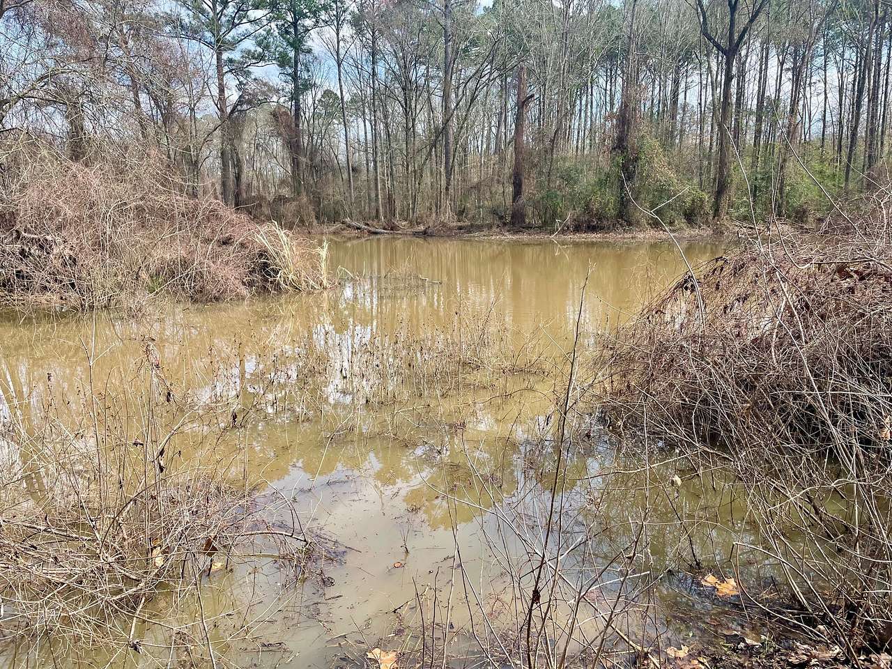 Toledo Bend Retreat