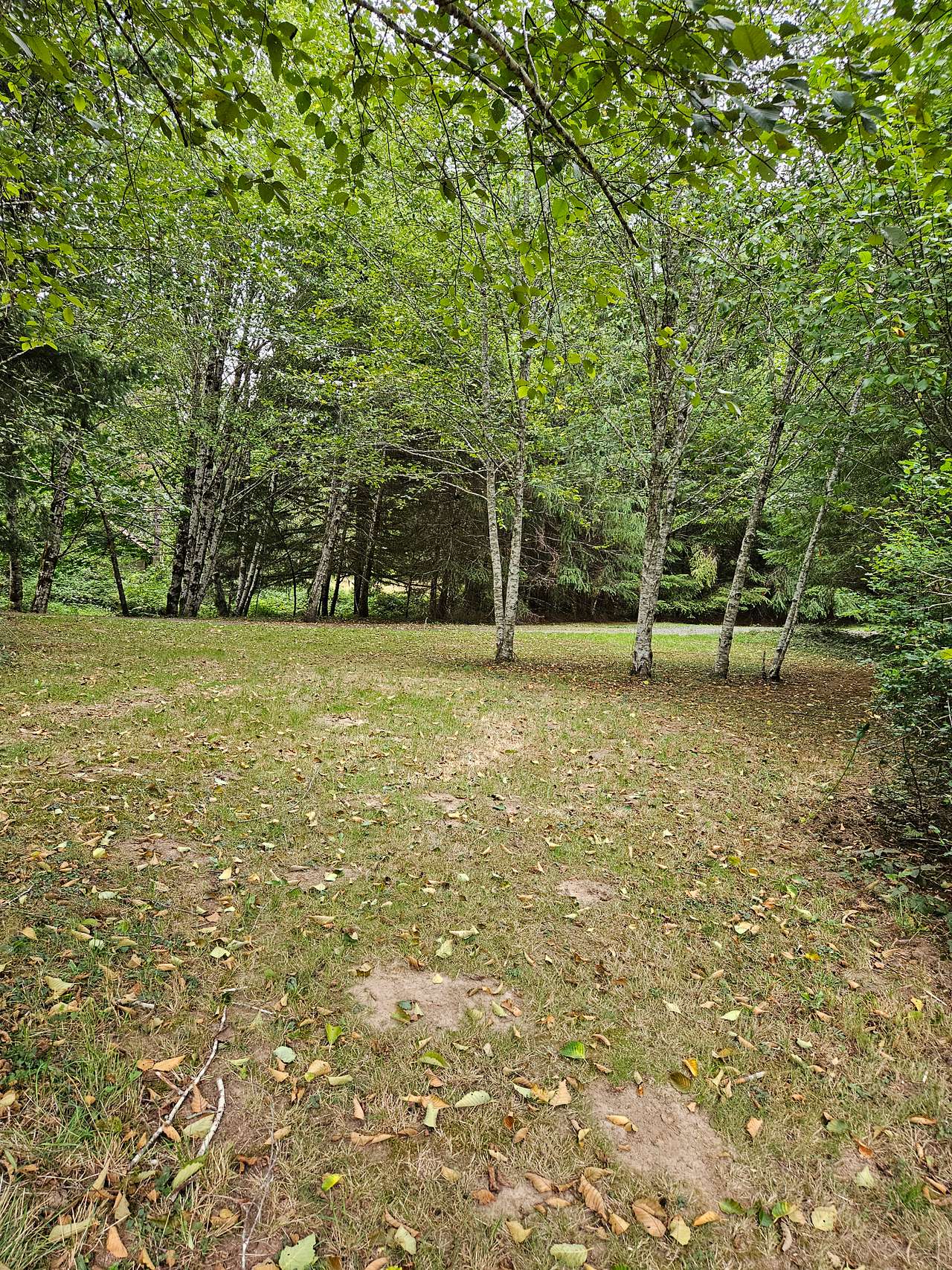 Rustic Borders