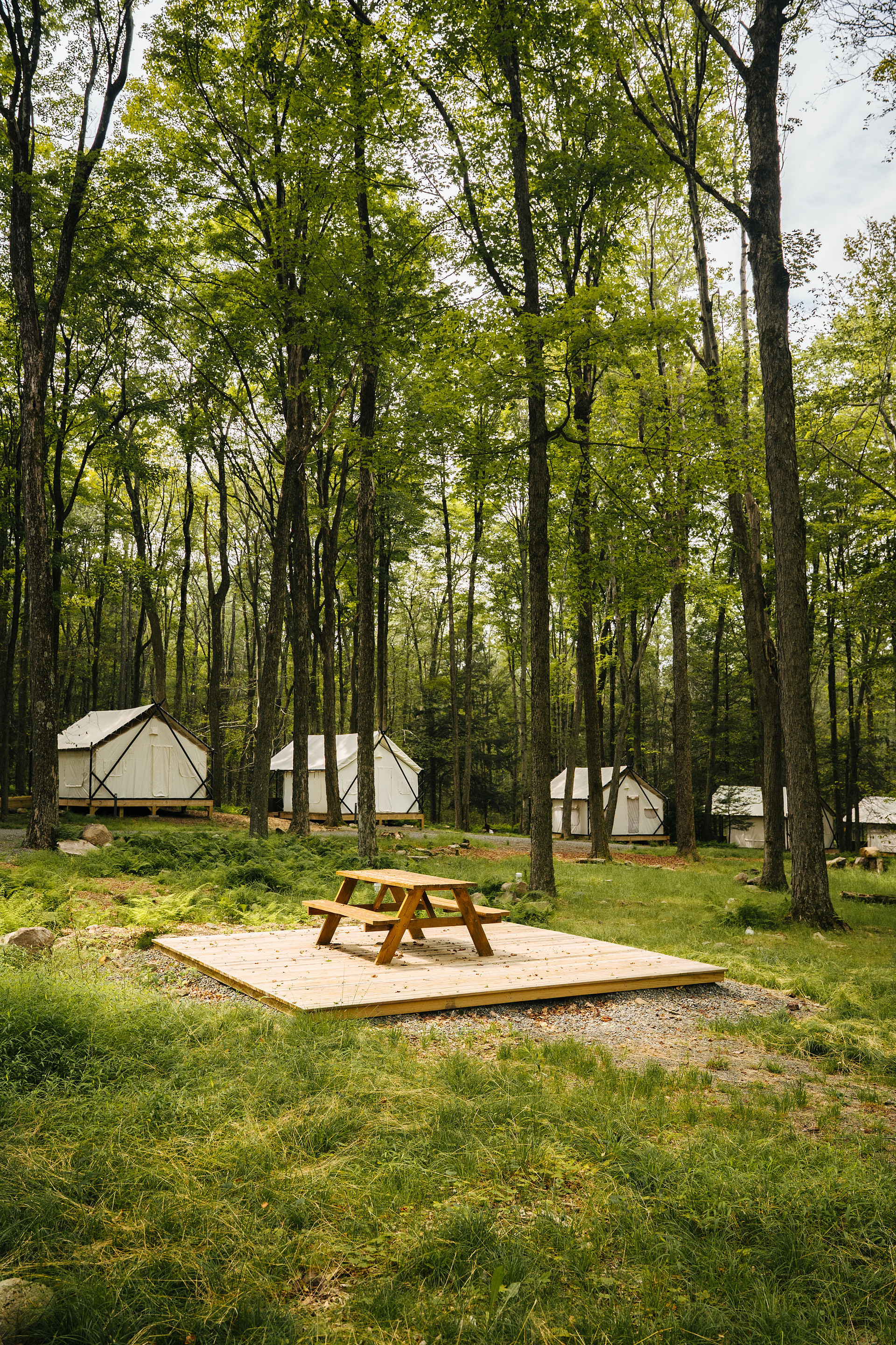 Modern Pocono Mountain Glamping
