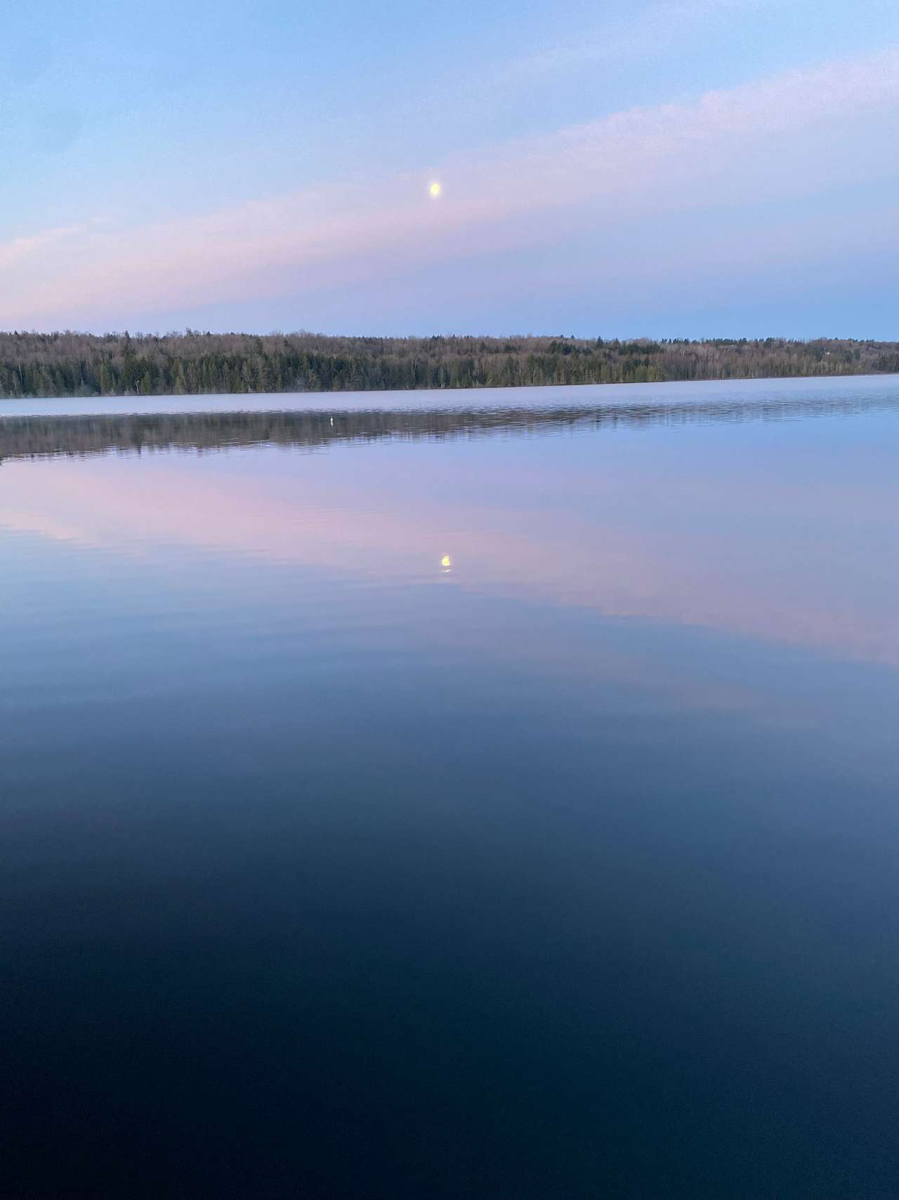 Brownington Pond Woods