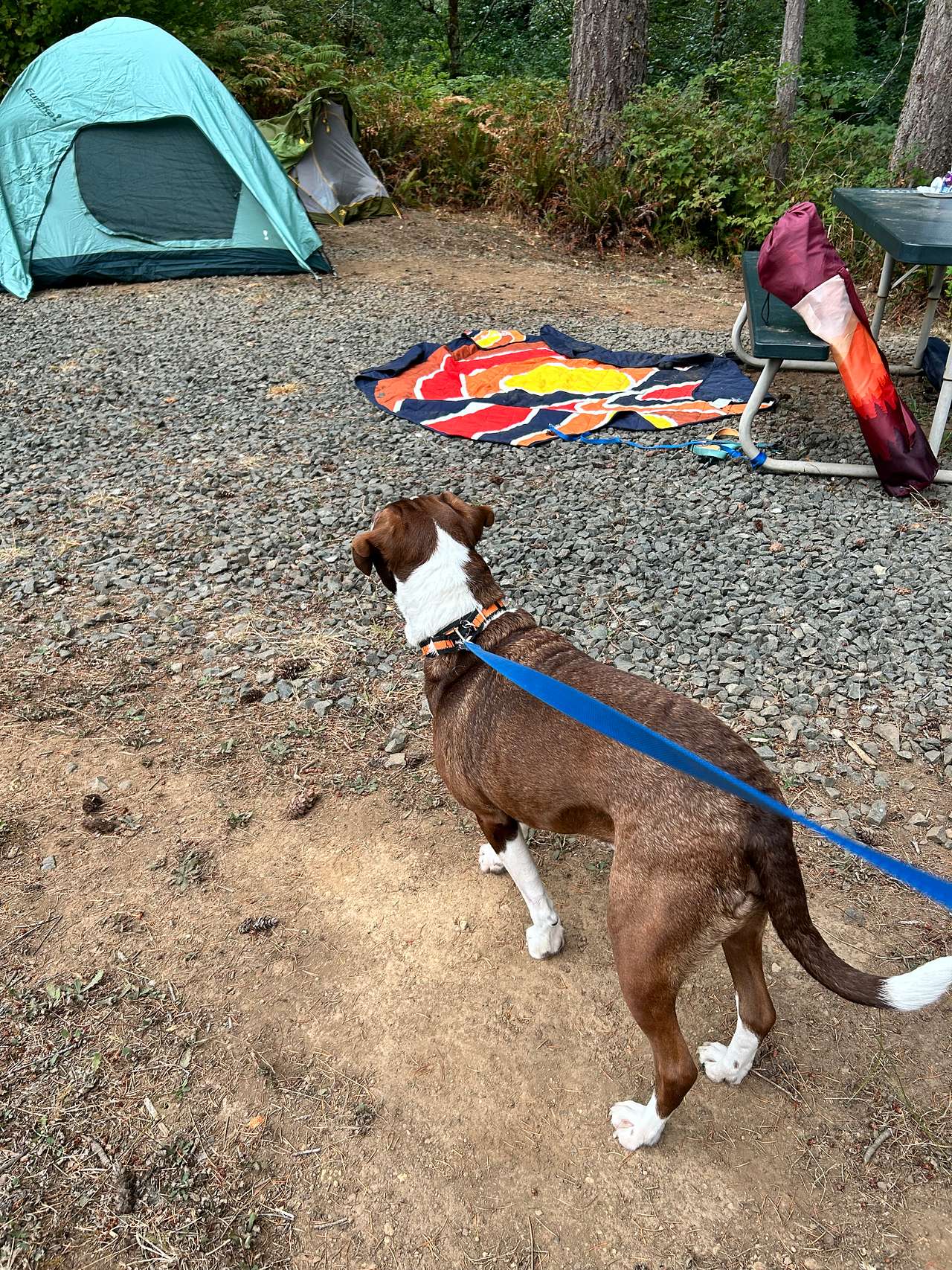 Smith River Campground