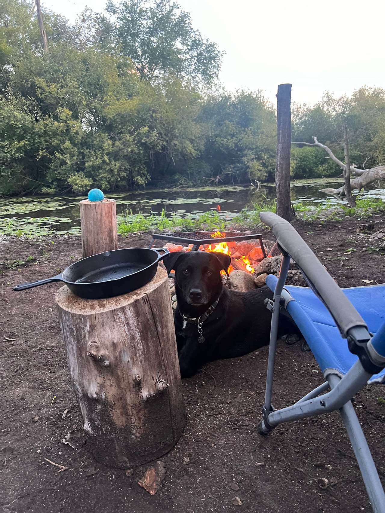 Painted Turtle Campsite