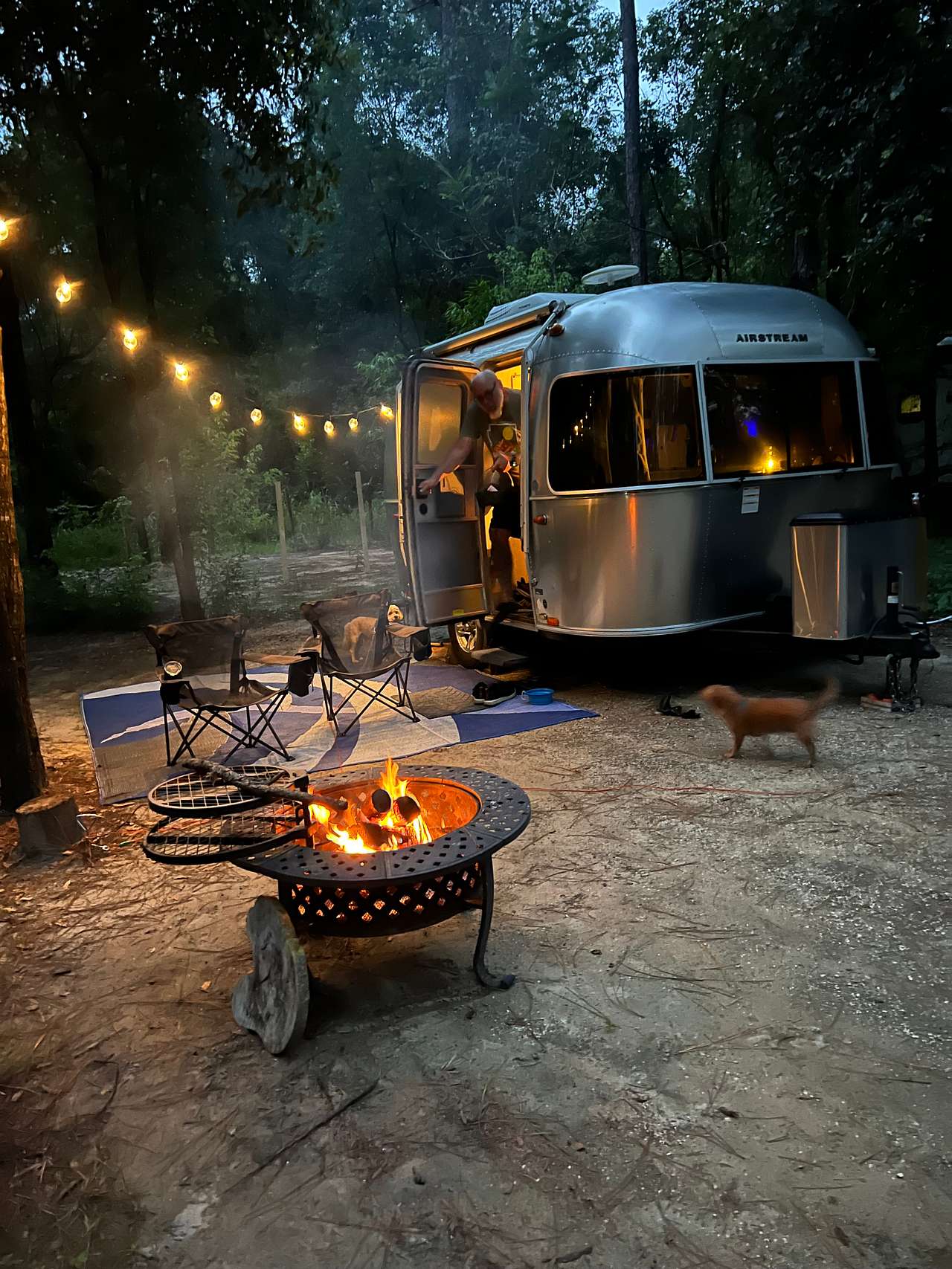 Tangerine Hideaway