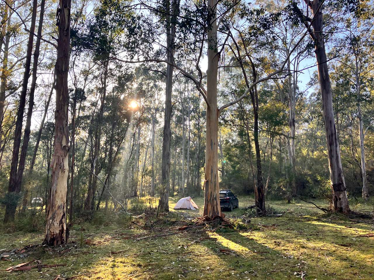 Stickybush Arm Wildlife Sanctuary