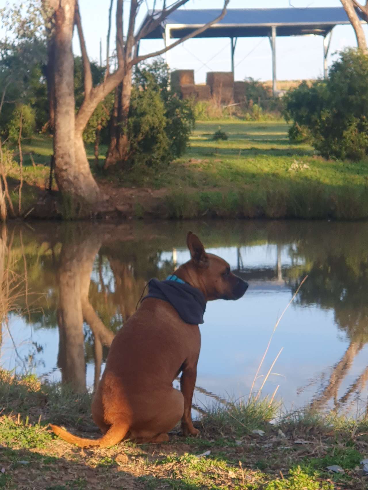 Ranjen Farm Stay