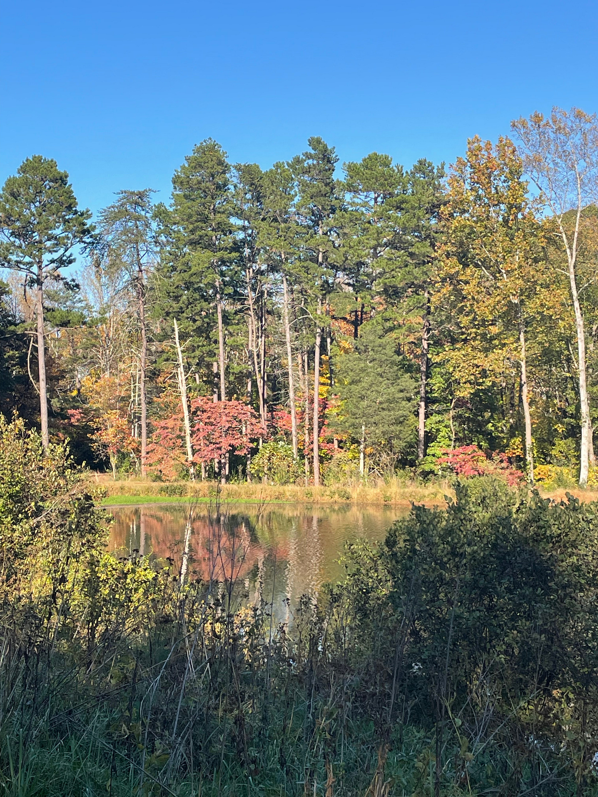 Ridgecrest Hollow